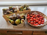 IMG_20230820_104136.jpg