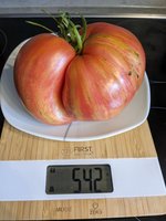 PXL_20230820_120600811.jpg