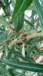 IMG_20180418_190425997.jpg IMG_20180418_190425997.jpg