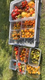 IMG_7405.jpeg