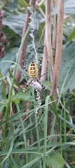 20230820_174319.webp