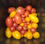20230820_201859.webp