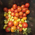 20230820_201820.webp