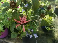 IMG_20230820_121259.webp
