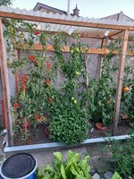 20230821_064418.jpg