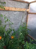 20230821_064431.webp