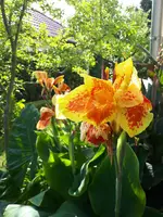 20230820_152118.webp