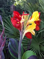 20230820_190515.webp