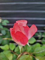 20230821_070504.jpg