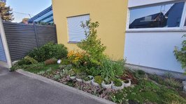 20230821_070637.jpg