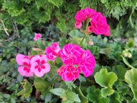 20230821_070702.jpg