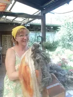 IMG_20230820_134905.webp