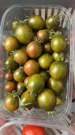 IMG_7513.jpeg