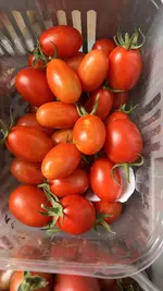 IMG_7510.jpeg
