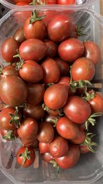 IMG_7511.jpeg