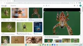 Screenshot (26).webp