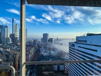 IMG_1775.jpeg