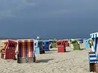 IMG-20210604-WA0018.webp