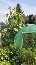 IMG_7535.jpeg