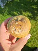 20230821_091016.webp