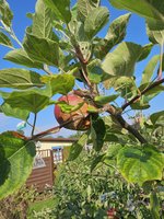 20230821_090947.jpg