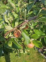 20230821_090955.jpg