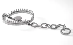 Bärenfalle.webp Bärenfalle.webp