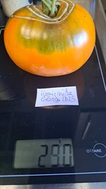 20230822_191318.jpg