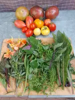 IMG_20230822_175449.webp