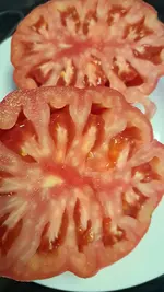 20230823_191035.webp