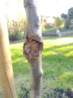 IMG_20230429_185039768.jpg