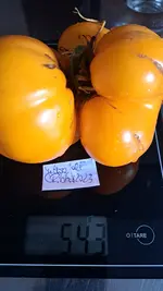 20230824_143417.webp