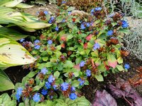 IMG_20230824_165118.jpg