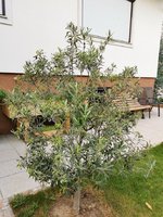 IMG_20230824_165107.jpg
