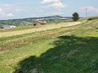 IMG_20230817_165426.jpg