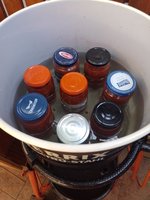 IMG_20230821_152820.jpg
