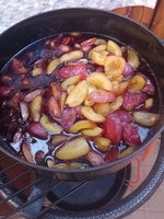 IMG_20230818_164623.jpg