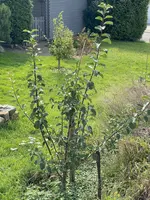 IMG_3105.webp