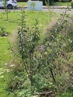 IMG_3104.jpeg