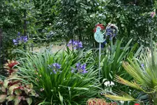 Terasse       5222.webp