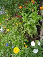 IMG_20230824_080331.jpg