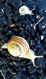20230826_184913.webp