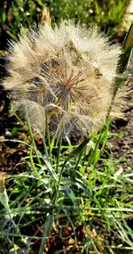 20230826_183850.webp