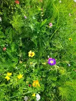IMG_20230826_130035.webp