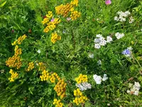 IMG_20230826_130004.webp