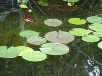 DSC03137.JPG