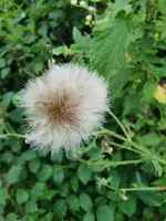 IMG_20230825_165236.webp