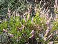 IMG_20230825_164643.webp