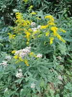 IMG_20230825_165314.webp