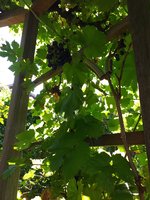 20230822_085713.jpg